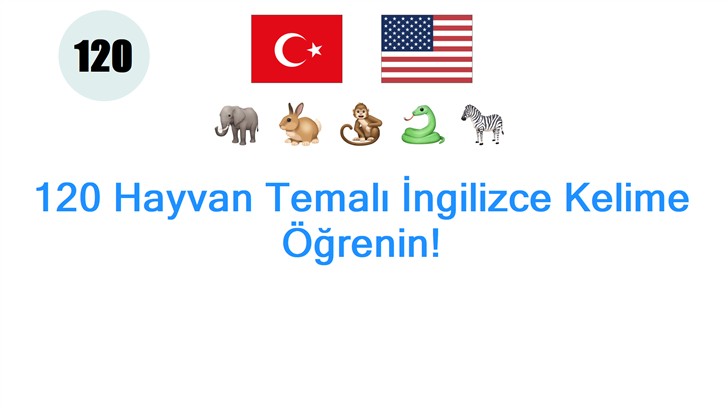 120 Hayvan Temalı İngilizce Kelime Öğrenin!